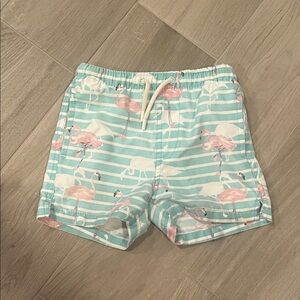 Ingear Swim Boys Teal and Pink Swim Trunks Size: 3T